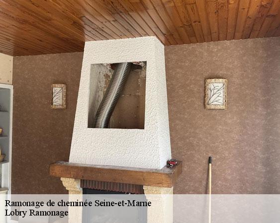 Ramonage de cheminée 77 Seine-et-Marne Lobry Ramonage