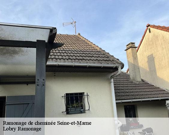 Ramonage de cheminée 77 Seine-et-Marne Lobry Ramonage