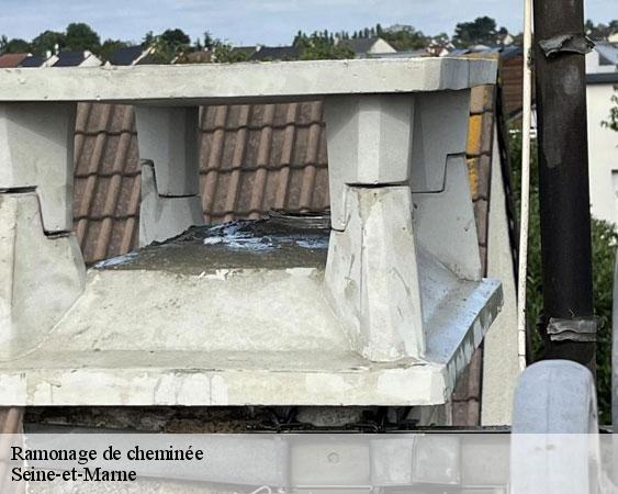 Ramonage de cheminée 77 Seine-et-Marne Lobry Ramonage