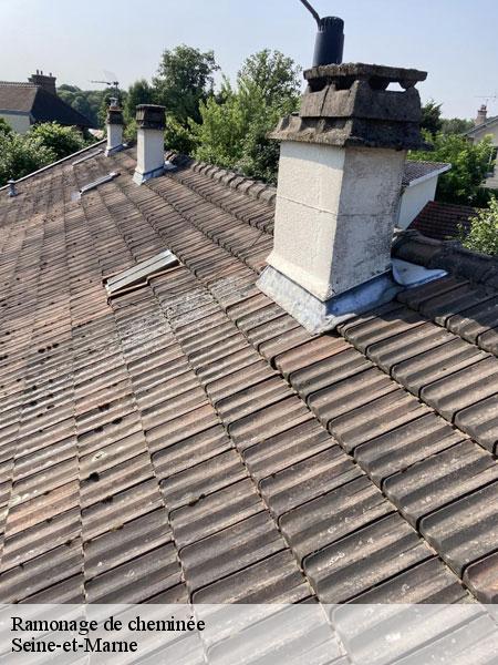 Ramonage de cheminée 77 Seine-et-Marne Lobry Ramonage