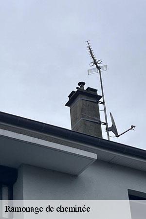 Ramonage de cheminée 77 Seine-et-Marne Lobry Ramonage