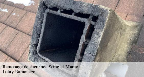 Ramonage de cheminée 77 Seine-et-Marne Lobry Ramonage