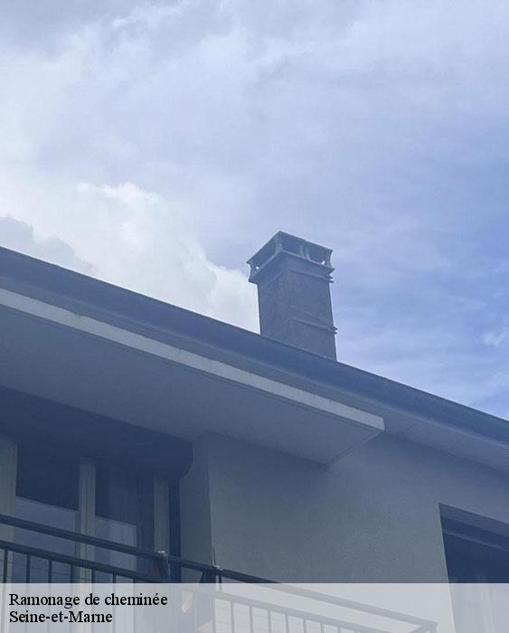 Ramonage de cheminée 77 Seine-et-Marne Lobry Ramonage