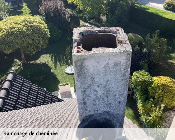 Ramonage de cheminée 77 Seine-et-Marne Lobry Ramonage