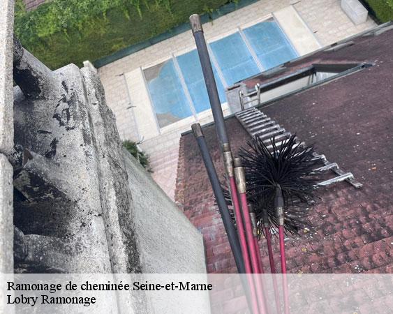 Ramonage de cheminée 77 Seine-et-Marne Lobry Ramonage