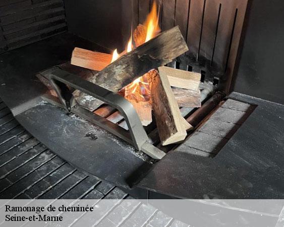 Ramonage de cheminée 77 Seine-et-Marne Lobry Ramonage