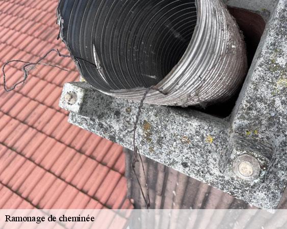 Ramonage de cheminée 77 Seine-et-Marne Lobry Ramonage