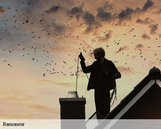 Ramoneur chalautre-la-reposte-77520 Lobry Ramonage