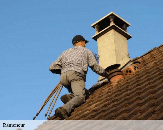 Ramoneur chalautre-la-reposte-77520 Lobry Ramonage