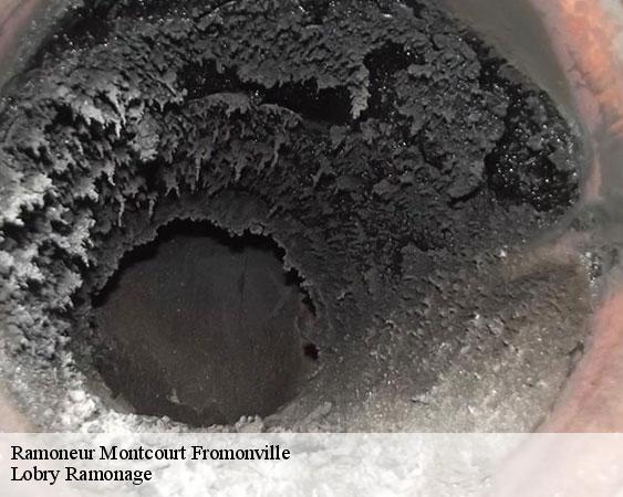 Ramoneur montcourt-fromonville-77140 Lobry Ramonage